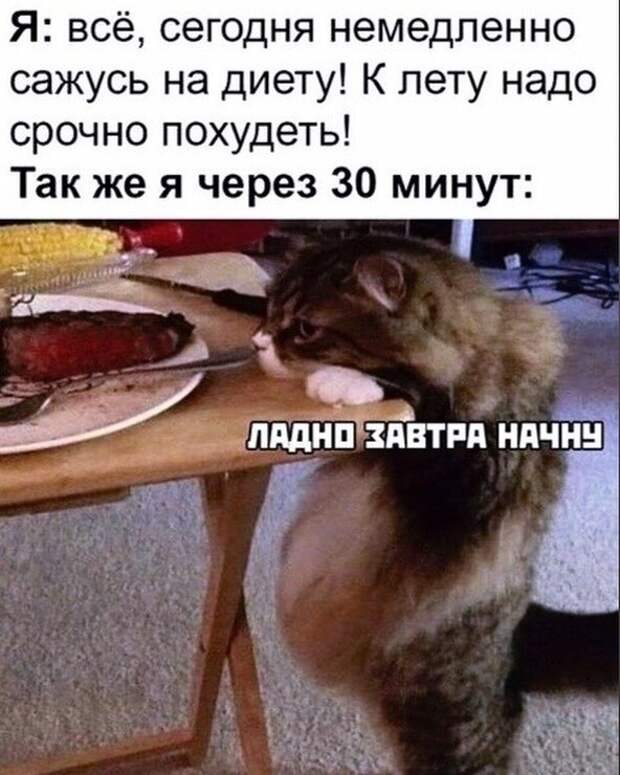 4. Друзья, кто уже узнал себя?