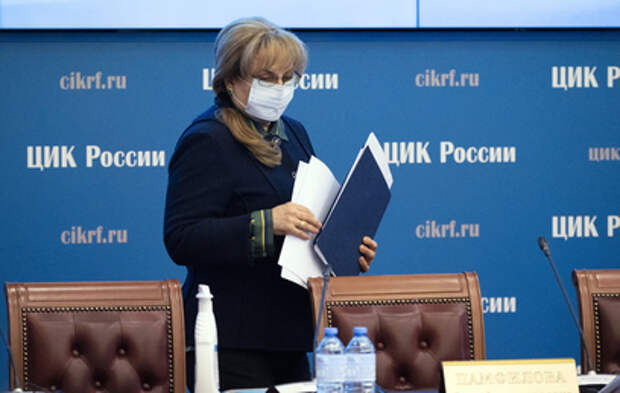 Памфилова предупредила об ответственности за "нарисованные" подписи