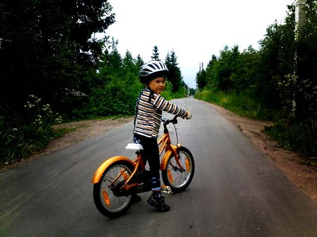 http://rideabike.ru/wp-content/kid_bike.jpg
