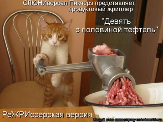 Котоматрицы(картинки с надписями)