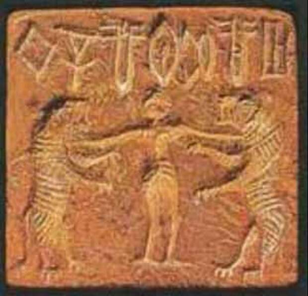 api-s-tigrami-tabu