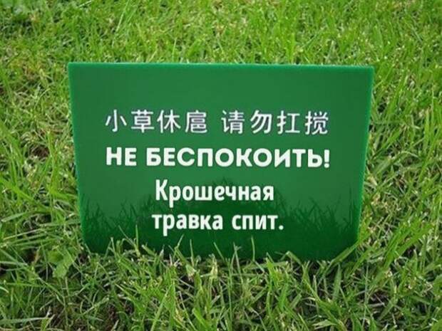 Остроумные объявления, вывески и таблички (21 фото)