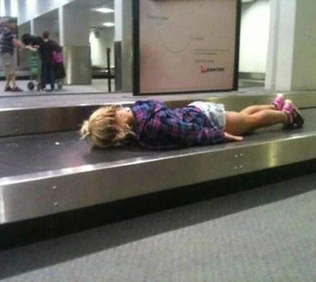 Живой багаж. | Фото: BestFunnies.com. Живой багаж. | Фото: BestFunnies.com.