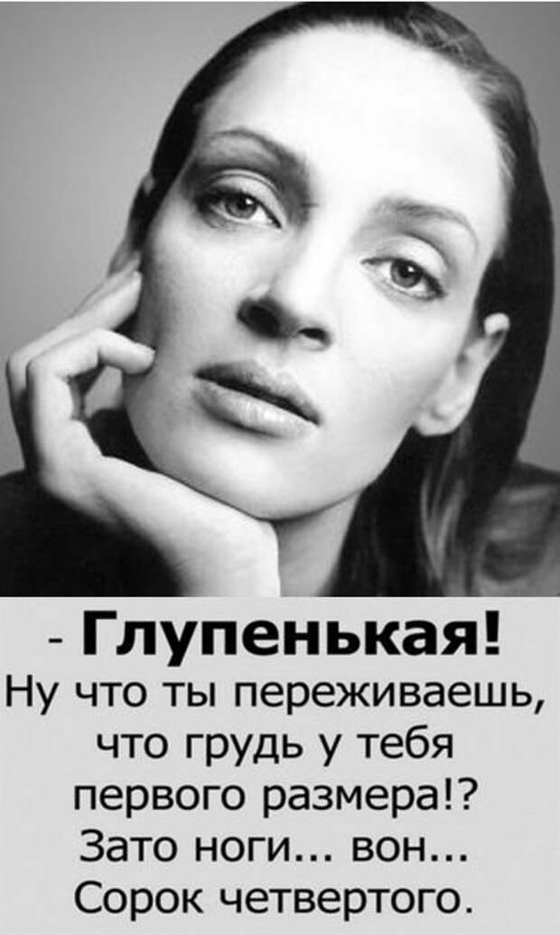Кривые зеркала