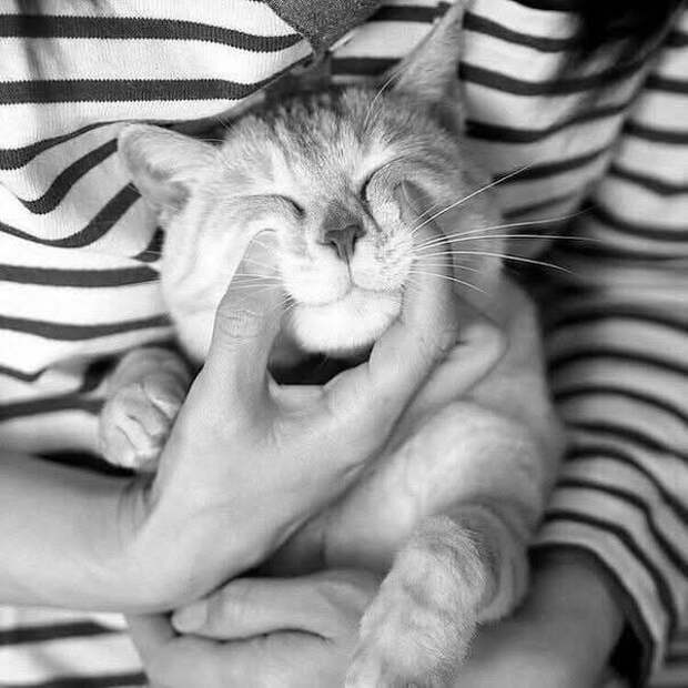 Мужская солидарность