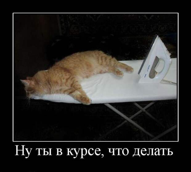 Нам скрывать нечего. Демотиваторы