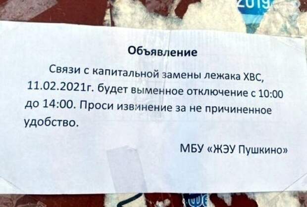 Давайте дружно попросим прощения у МБУ Пушкино Давайте дружно попросим прощения у МБУ Пушкино