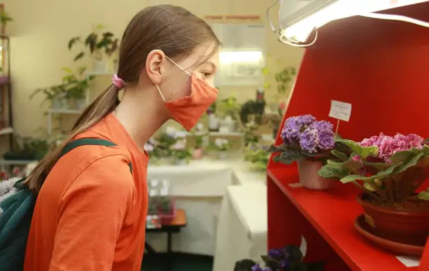 Агроном рассказала, как весной помочь комнатным растениям