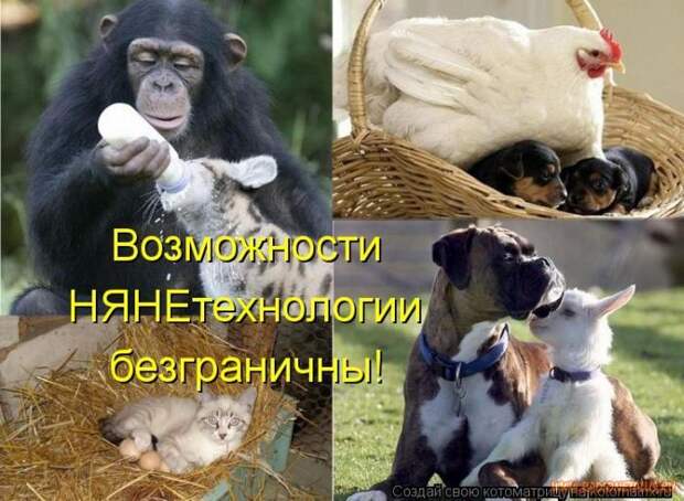Уфф!!! Ну наконец-то! Котоматрицы великолепные, каждая с улыбкой и хорошим настроением!