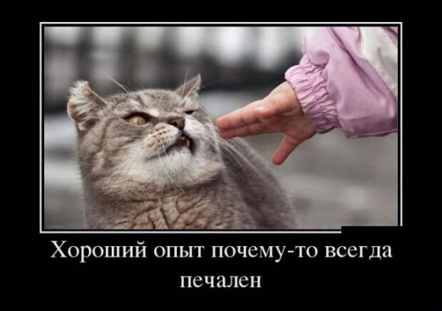 Веселые демотиваторы на утро вторника (11 фото)