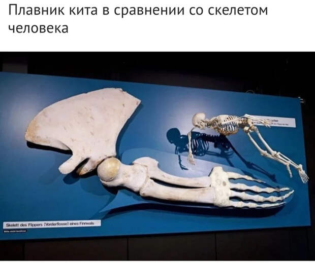 Занимательные фото-сравнения, которые открывают новый взгляд на мир Сравнение, Было-Стало, Фотография, Жизнь, Прошлое, Настоящее, Интересное, Длиннопост