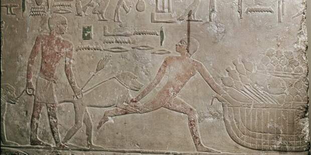 Факты о Древнем Египте: египтяне использовали бабуинов вместо собак