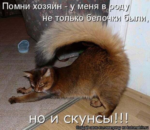 3944028e69b698b17ac40841fd50f122 (570x495, 119Kb)