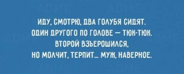 Про мужчин прикольные выражения.