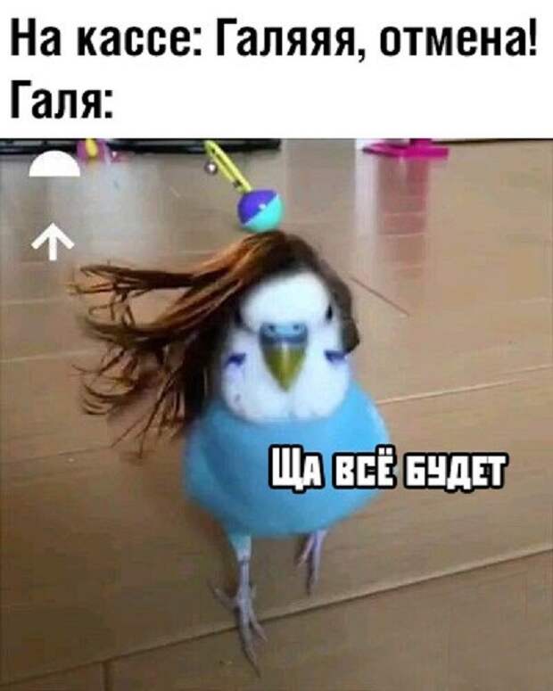 Почему кассиры в супермаркете не могут сами отменить покупку?
