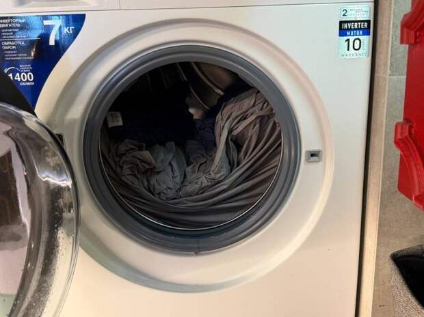 Постиранного кота удалось спасти: хозяйка не заметила спящего питомца