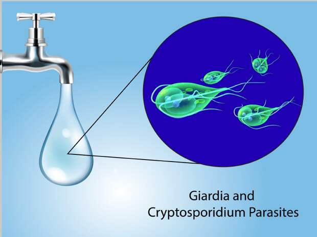 Невидимый враг в воде и еде. Паразит, против которого бессилен хлор, а врачи часто ошибаются при диагностике