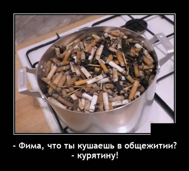 Демотиваторы 27 апреля 2021