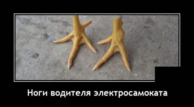 Демотиваторы 27 августа 2021
