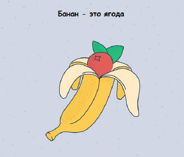 www.vsyako.net