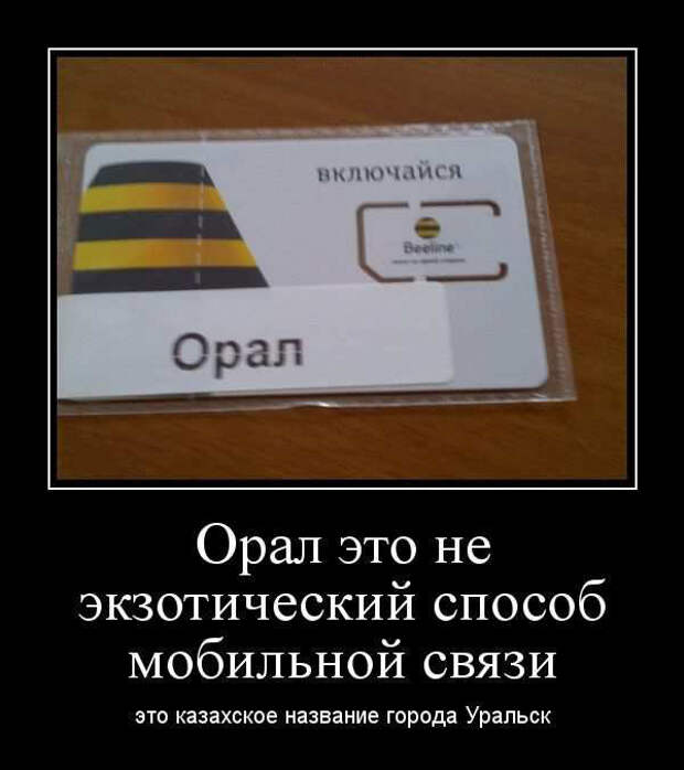 Орнуть в голосину. А какого хрена. Орать благим матом значение фразеологизма. Шутки про казахов смешные. Анекдоты.