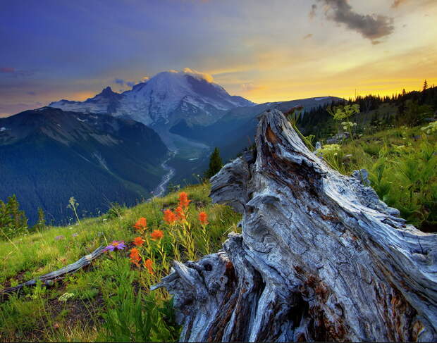 NewPix.ru - Национальный парк Маунт-Рейнир (Mount Rainier National Park) . Фотограф Kevin McNeal
