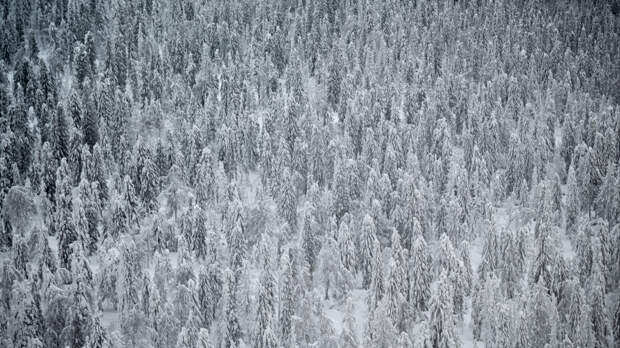 Коварная трещина в скале: эксперт о новой версии пропажи Усольцевых