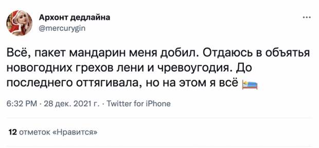 Пользователи рассказали о своих планах на новогодние праздники