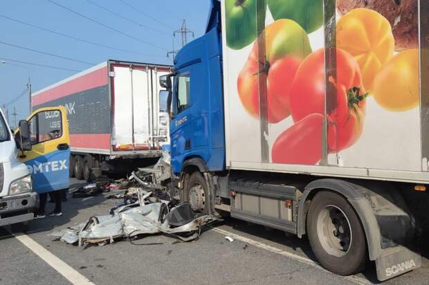 Двое взрослых и двое детей погибли в страшном массовом ДТП в Самарской области