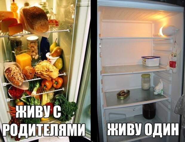 Смешные картинки с надписями для веселья (10 фото) Смешные картинки с надписями для веселья (10 фото)