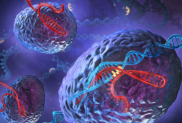 Рисунок художника системы CRISPR-Cas