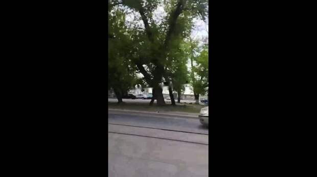 Video: com.bongasoft.addremovewatermark_IMG_2029.MOV