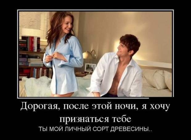 Подборка милых и веселых демотиваторов (10 фото) Подборка милых и веселых демотиваторов (10 фото)