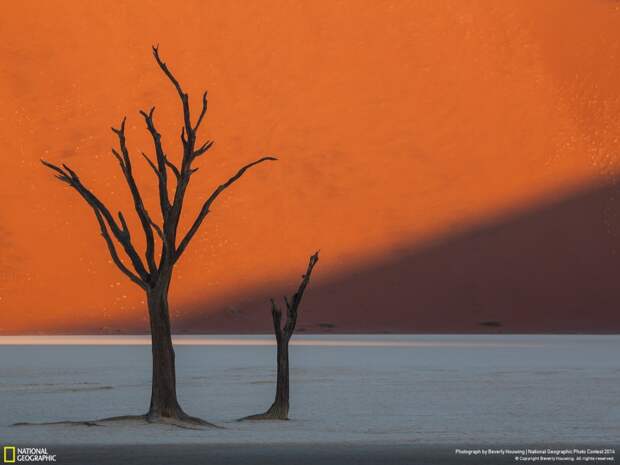 Лучшие фотографии National Geographic 2014 лучшие, природа, фото