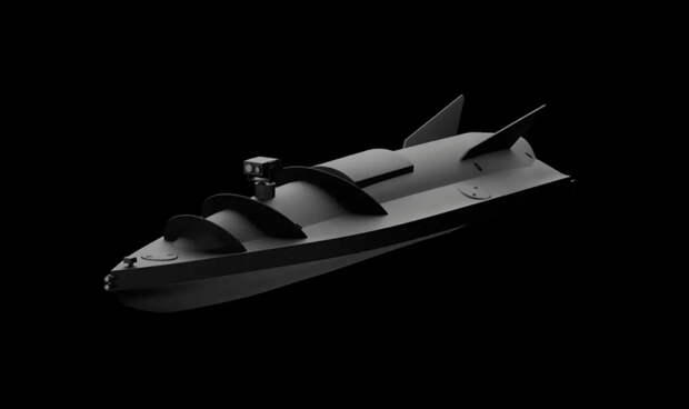 В РФ заявили о подготовке Украины и Норвегии к ударам по российским судам