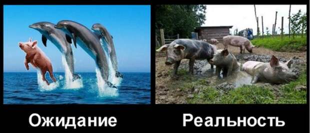НАТО поставила Украине дизлайк