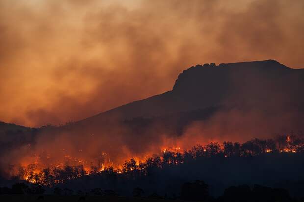 Пожары в Испании уничтожили тысячи гектар леса