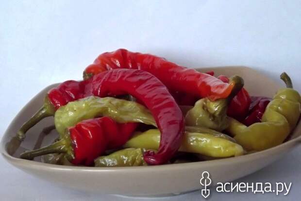 Перец халапеньо консервированный. Как приготовить зеленые перцы. Перец цицак армянский семена. Кавказский острый перец. Консервированные острые перцы.