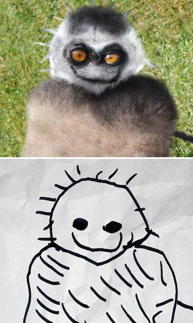 kid-drawings-things-i-have-drawn-dom-26-580e034bacfc0__700