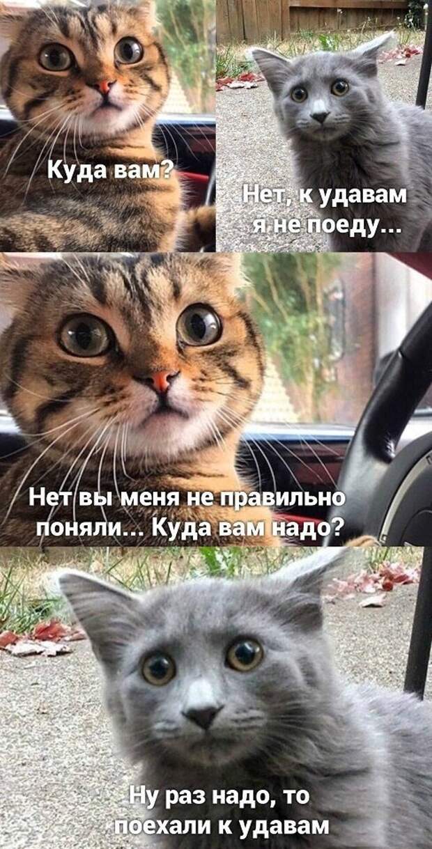 Менеджер по пропажам и полсобаки: подборка каламбуров и лингвошуток