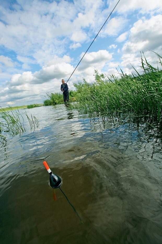 Для ловли на течении у болонской снасти нет ограничений. Можно ловить по краю затопленной травы.
