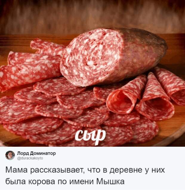 Кто во что горазд, или как правильно назвать своего питомца Кто во что горазд, или как правильно назвать своего питомца