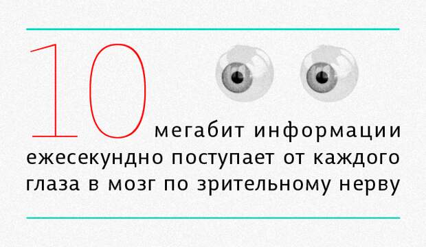 мозг3 мозг3