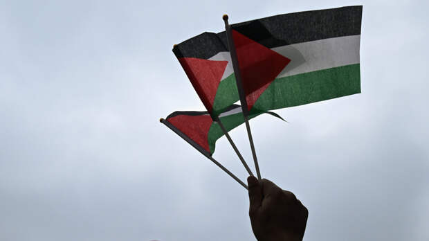 Ирландия признала независимость Палестины