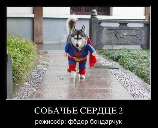 Веселые демотиваторы на утро вторника (11 фото) Веселые демотиваторы на утро вторника (11 фото)