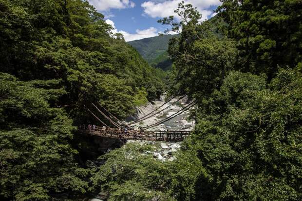 Япония. Сикоку. Плетёный мост в долине Ия. (Christian Kaden)