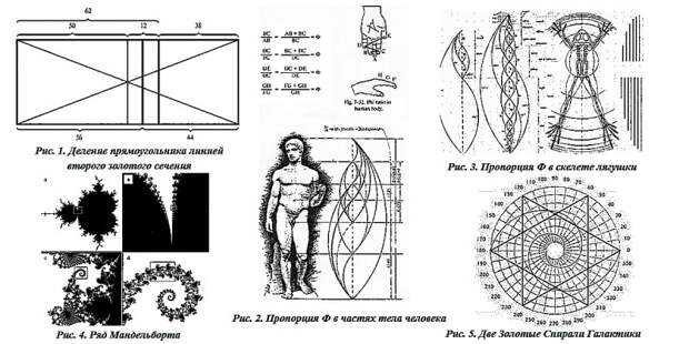Пропорции обладают особым визуальным очарованием и используются в архитектуре, живописи, дизайне и других видах искусства для создания гармоничного баланса и приятного восприятия.