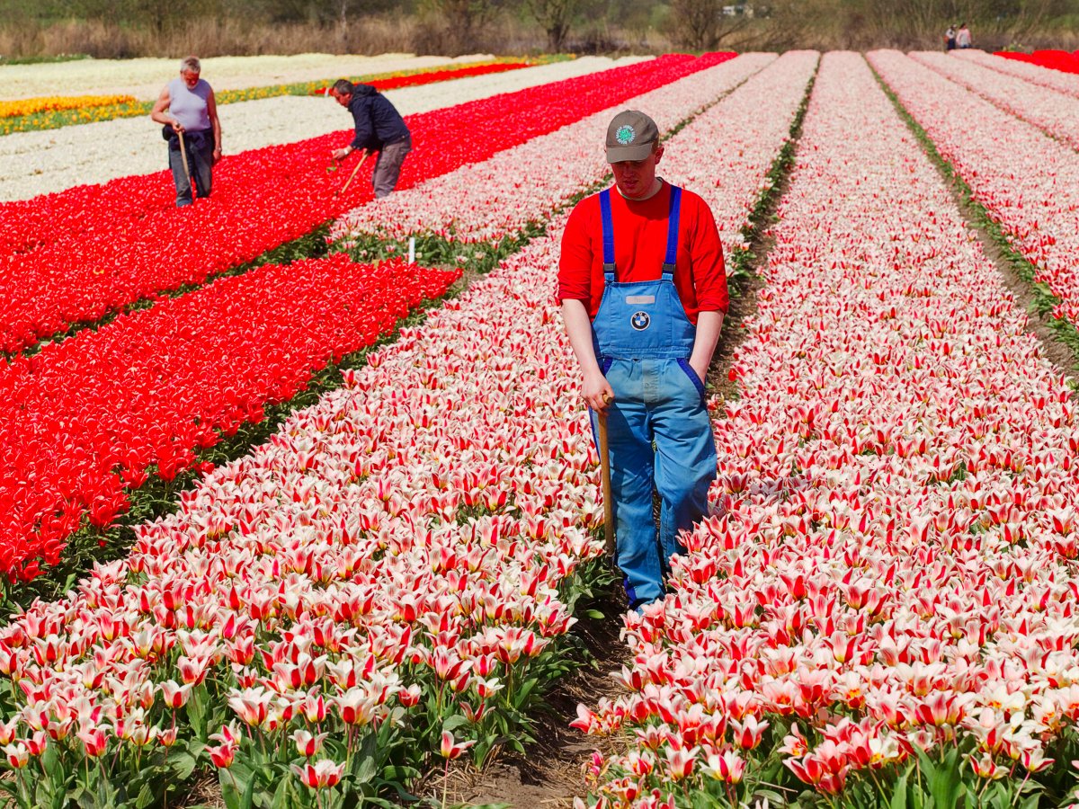 Netherlands