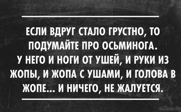 Ну очень смешные СМС- ки