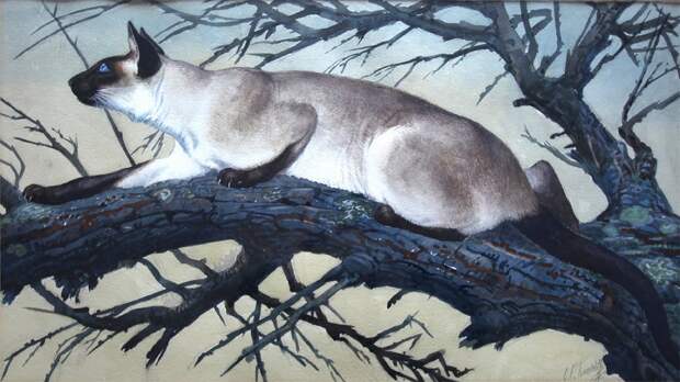 tunnicliffe_stalking_cat_1600x900.jpg tunnicliffe_stalking_cat_1600x900.jpg
